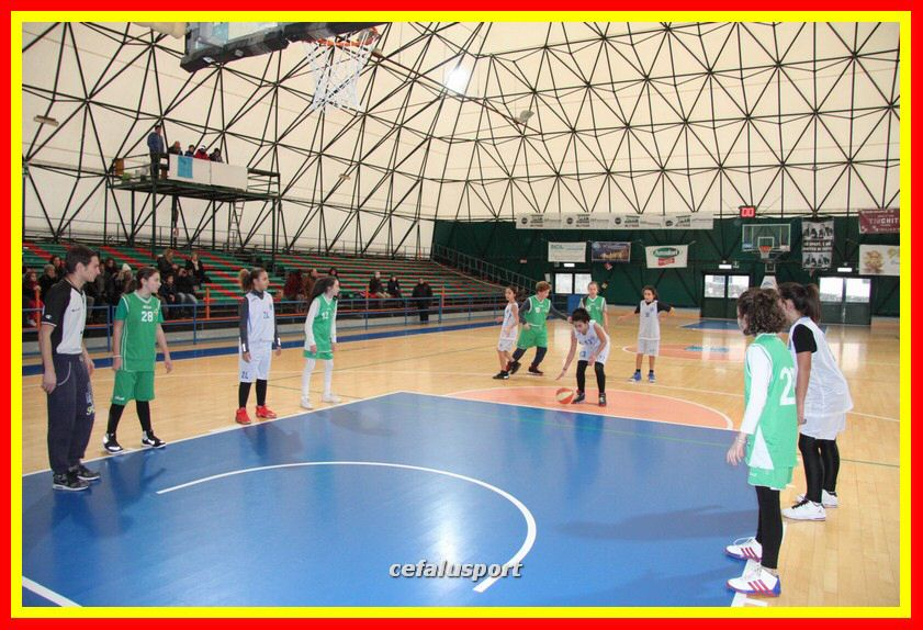 170107 basket 050_tn.jpg